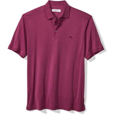 Tommy Bahama Bay Stripe Islandzone® Performance Polo In Purple Potion