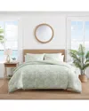 Tommy Bahama Beach Bluff Toile 100% Cotton Comforter Set In Green