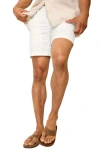 Tommy Bahama Boracay Flat Front Shorts