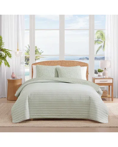 Tommy Bahama Caicos Isle Cotton Quilt Set In Green