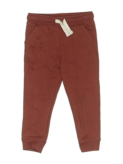 Pre-owned Tommy Bahama Kids' Casual Pants In Brown