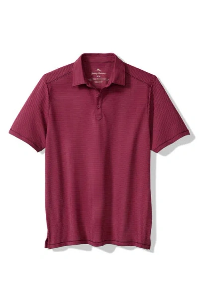 Tommy Bahama Costa Wave Polo In Burgundy