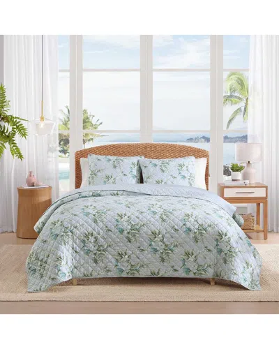 Tommy Bahama Floral Enchantment Texture Cotton Percale Quilt Set In Blue