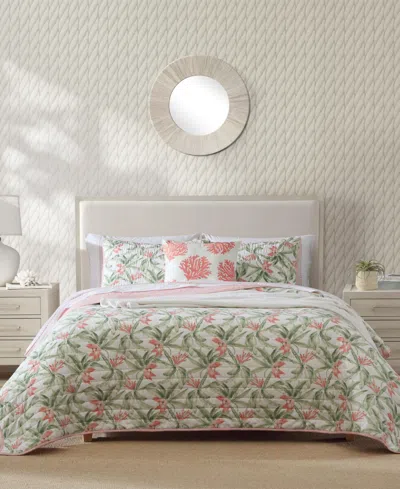 Tommy Bahama Home Acapulco Palms Reversible 3 Piece Quilt Set, Full/queen In Mineral Green