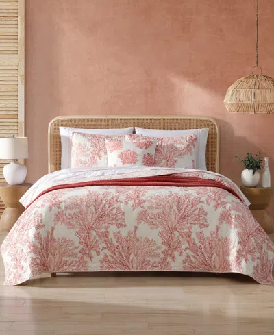 Tommy Bahama Home Coral Garden Reversible 3 Piece Quilt Set, King In Rose Coral