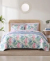 Tommy Bahama Home Island Orchid Reversible Quilt Sets In Pink,blue