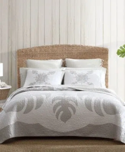Tommy Bahama Home Molokai Embroidered Quilts In Gray