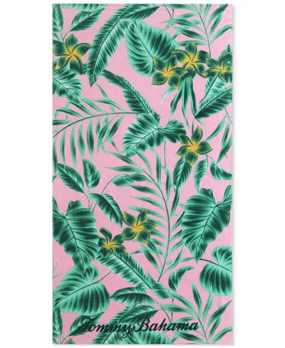 Tommy Bahama Home Palm Beach Bliss Cotton Oversized Beach Towel, 72" X 36" In Pink