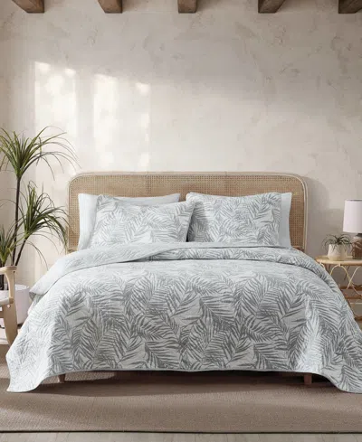 Tommy Bahama Home Palmday Cotton Reversible 3 Piece Quilt Set, King In Bahama Gray