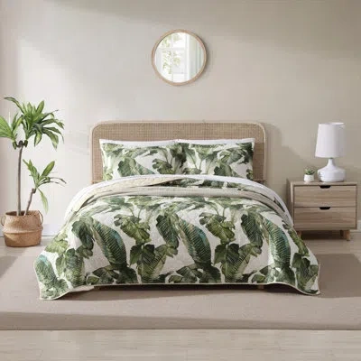 Tommy Bahama Home Tommy Bahama Fiesta Palms Green Cotton Reversible Quilt Set In White;green