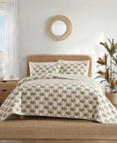 Tommy Bahama Home Tommy Bahama Santiago Cotton Reversible Quilt Set In Pink