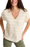 Tommy Bahama Kauai Island Voyage Stripe V-neck T-shirt In Fresco Heather