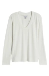 Tommy Bahama Kauai Long Sleeve T-shirt In Coconut