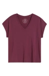 Tommy Bahama Kauai V-neck T-shirt In Burgundy