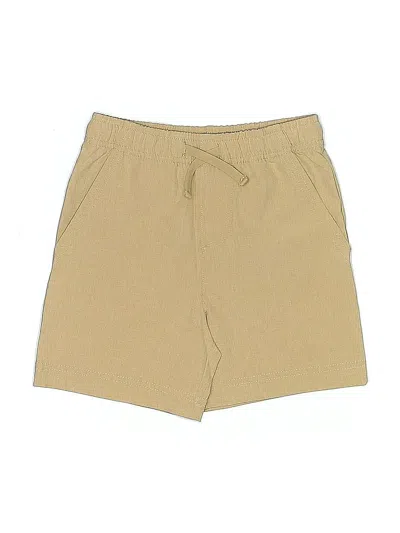 Pre-owned Tommy Bahama Kids' Khaki Shorts In Brown