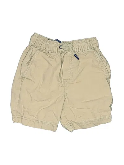 Pre-owned Tommy Bahama Kids' Khaki Shorts In Brown