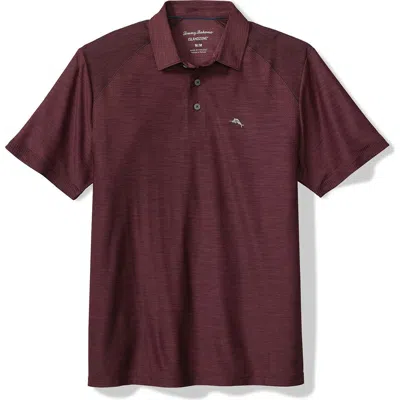 Tommy Bahama Palm Coast Pro Solid Polo In Purple