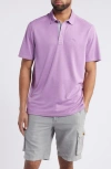 Tommy Bahama Paradiso Cove Stripe Polo In Summer Plum