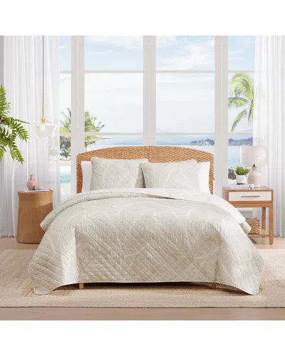 Tommy Bahama Pebble Palms Cotton Quilt Set In Neutral