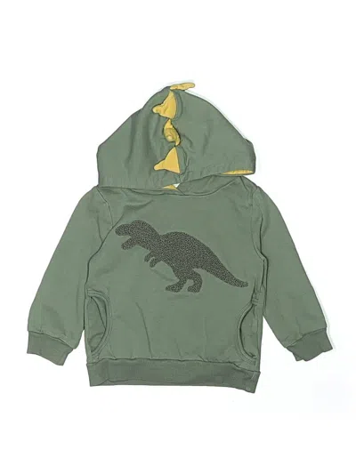 Pre-owned Tommy Bahama Kids' Pullover Hoodie In Green