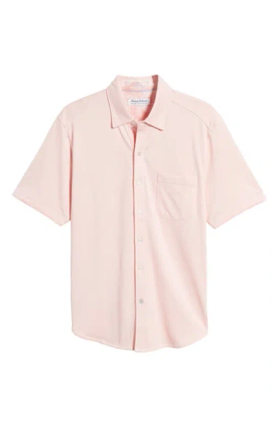 Tommy Bahama San Lucio Islandzone® Short Sleeve Knit Button-up Shirt In Quartz Pink