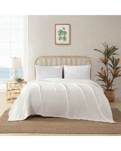 Tommy Bahama Sandline Organic Blanket In White