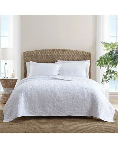 TOMMY BAHAMA TOMMY BAHAMA SOLID COSTA SERA COTTON QUILT