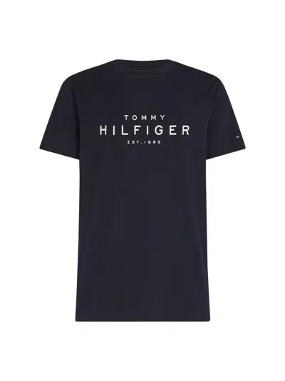 Tommy Hilfiger Big Hilfiger T-shirt In Desert Sky