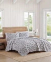 Tommy Hilfiger 136 Thread Count Boating Flags Cotton Reversible Quilt Set In White,pale Blue,red