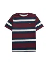 Tommy Hilfiger Boy's Striped Tee In Port