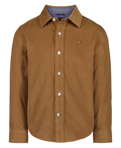 Tommy Hilfiger Kids' Boys 2t-6 Point Collar Shirt In Brown