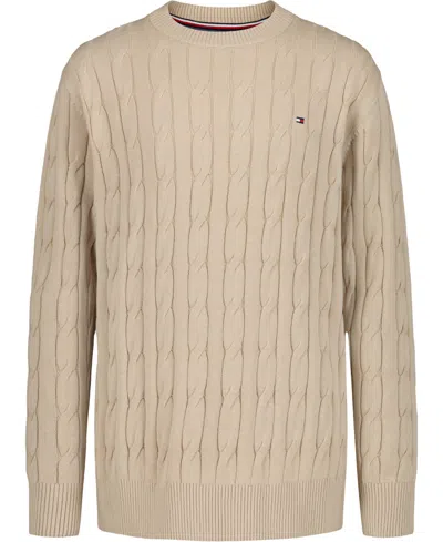 Tommy Hilfiger Kids' Boys 2t-7 Crewneck Cable Knit Sweater In Burgundy