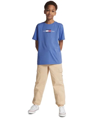 Tommy Hilfiger Kids' Boys' 8-20 Drawcord Cargo Pants, Exclusively At Macy's In Brown