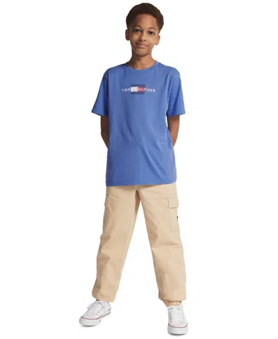 Tommy Hilfiger Kids' Boys' 8-20 Linear Flag Short-sleeve T-shirt In Blue