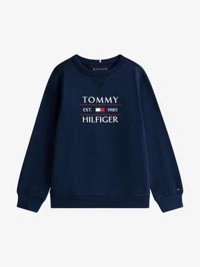 Tommy Hilfiger Kids'  Boys Tommy Flag Sweatshirt In Multi
