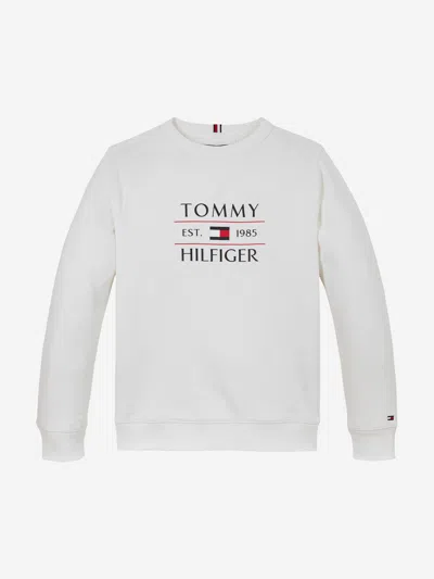 Tommy Hilfiger Kids'  Boys Tommy Flag Sweatshirt In White