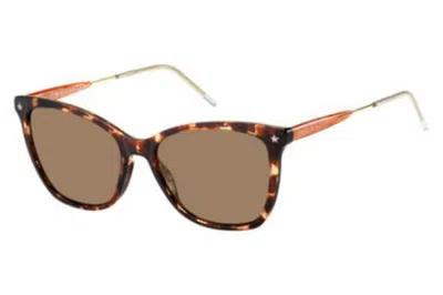 Tommy Hilfiger Brown Cat Eye Ladies Sunglasses Th 1647/s 0086/70 54