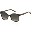 Tommy Hilfiger Brown Gradient Butterfly Ladies Sunglasses Th 1811/s 0086/ha 55