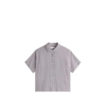 Tommy Hilfiger Chemise À Manches Courtes In Gray
