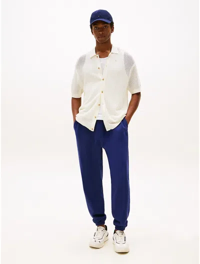 Tommy Hilfiger Embroidered Logo Interlock Sweatpant In Blue