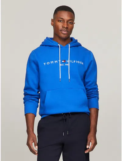 Tommy Hilfiger Embroidered Tommy Logo Hoodie In Kettle Blue