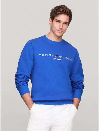 Tommy Hilfiger Embroidered Tommy Logo Sweatshirt In Kettle Blue
