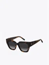 Tommy Hilfiger Everyday Butterfly Sunglasses In Havana
