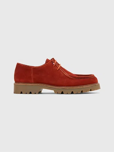 Tommy Hilfiger Fashion Sued Shoes In Marrone