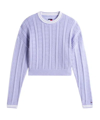 Tommy Hilfiger Flag Pattern Cable Knit Sweater In Purple
