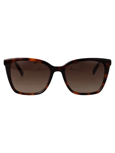Tommy Hilfiger Havana Acetate Sunglasses
