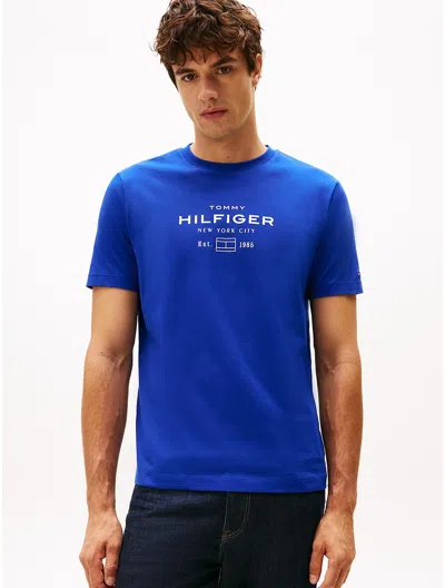 Tommy Hilfiger Hilfiger Graphic Logo T In Blue
