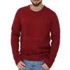 Tommy Hilfiger Hilfiger Structure Flag Crewneck Sweater In Red