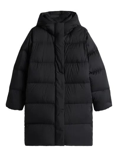 TOMMY HILFIGER HOODED PADDED COAT