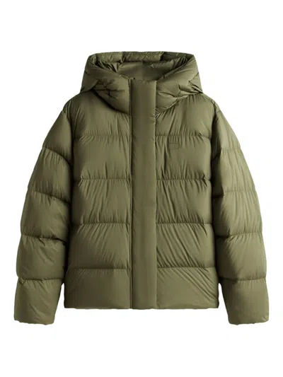 Tommy Hilfiger Hooded Padded Jacket In Green